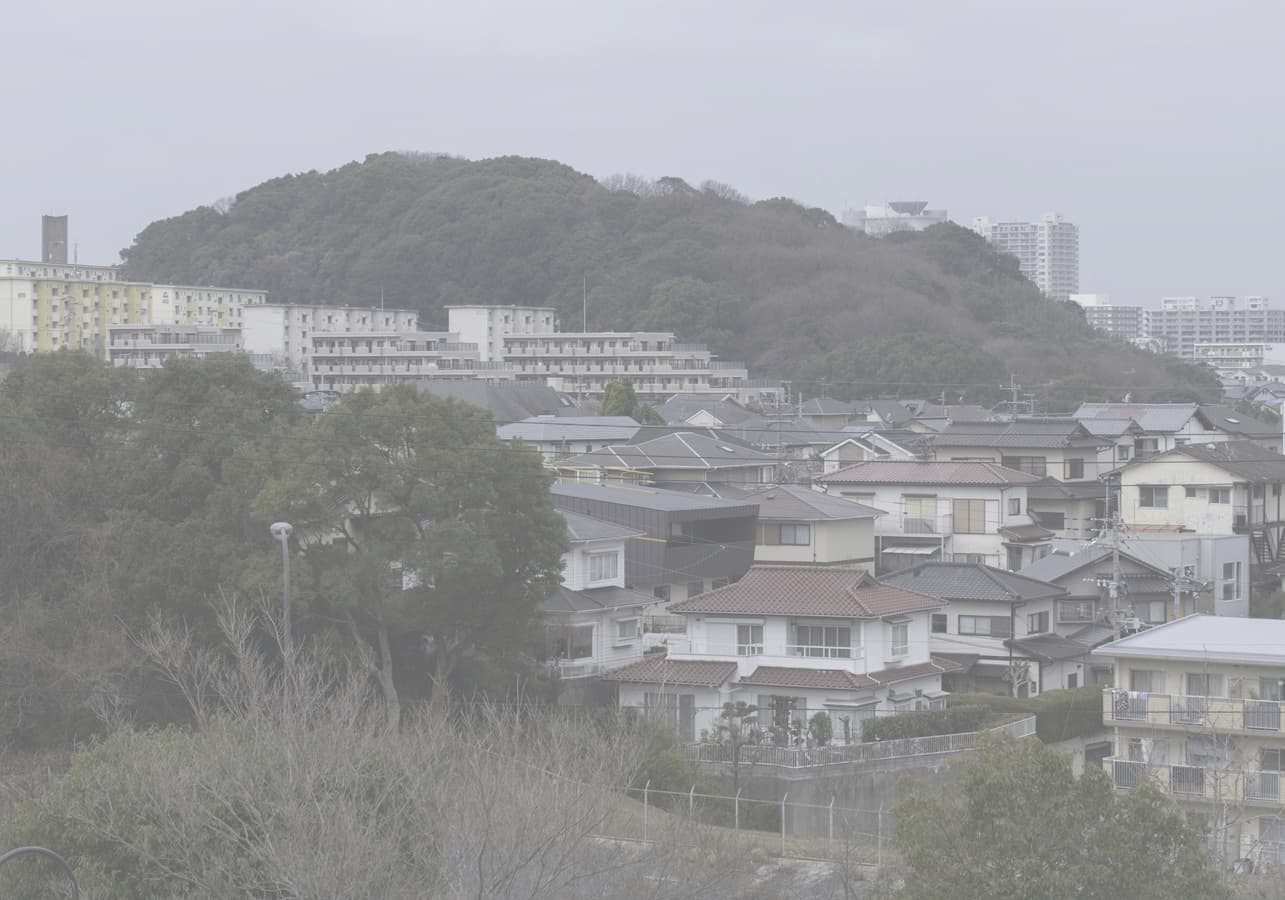 北東からの遠景